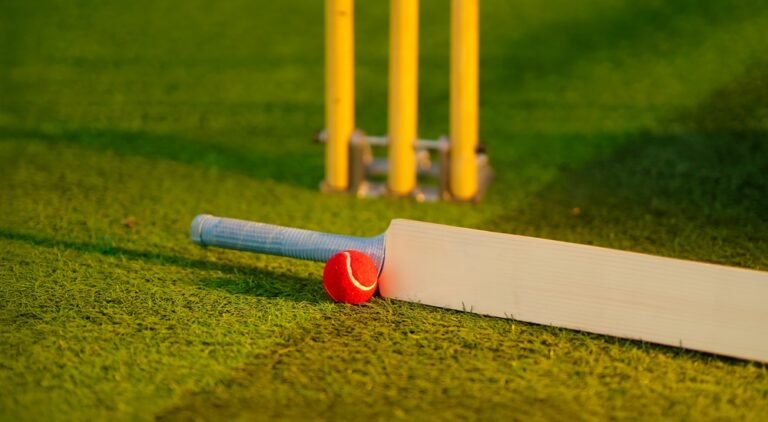 Read more about the article IPL Cricket ID Provider in India